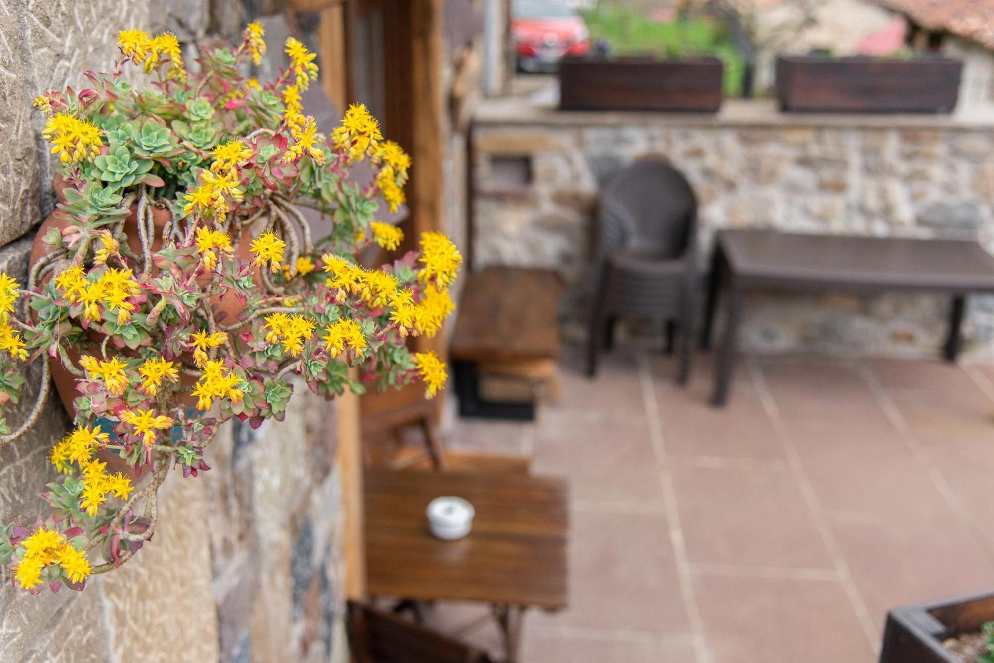 Casa Vacacional La Pedrera Villa Baro  Eksteriør bilde